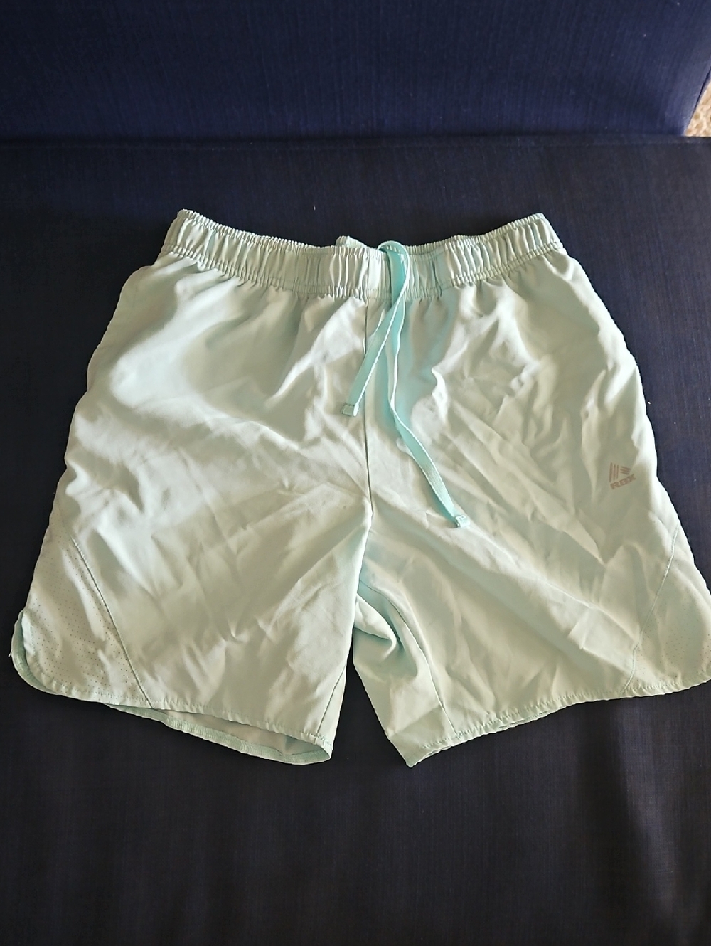 RBX Light Mint Men’s Swim Trunks